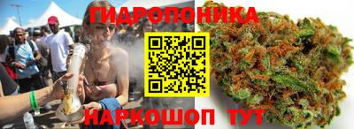 ГАЛЛЮЦИНОГЕННЫЕ ГРИБЫ Дубна