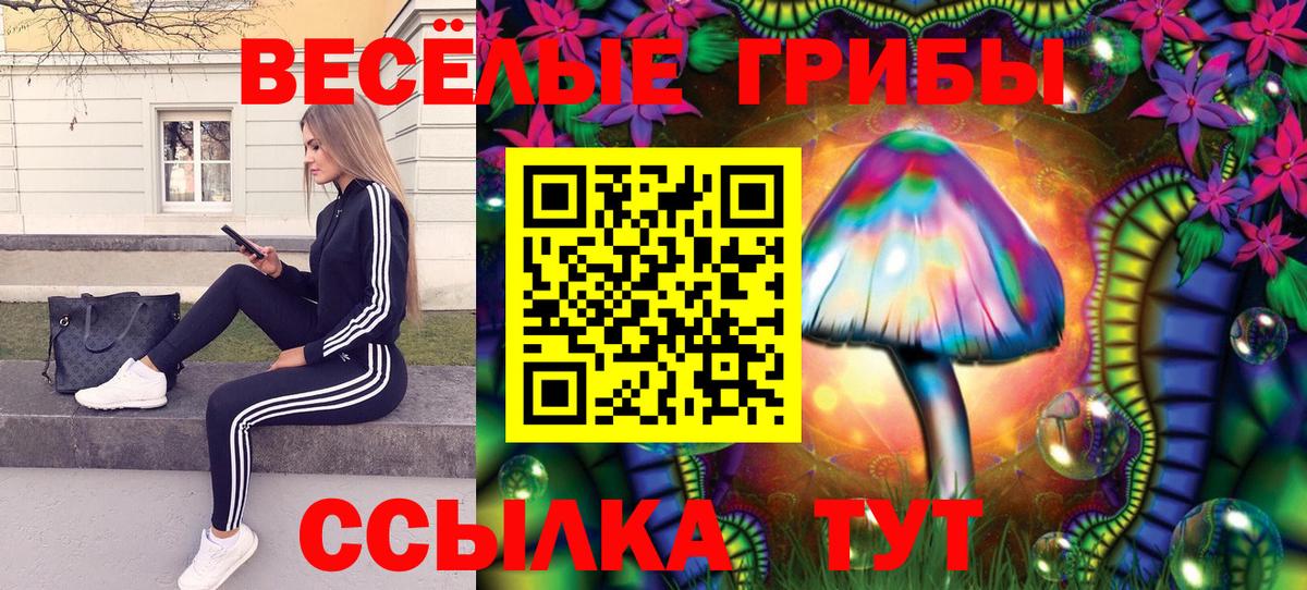 Псилоцибиновые грибы прущие грибы Лыткарино