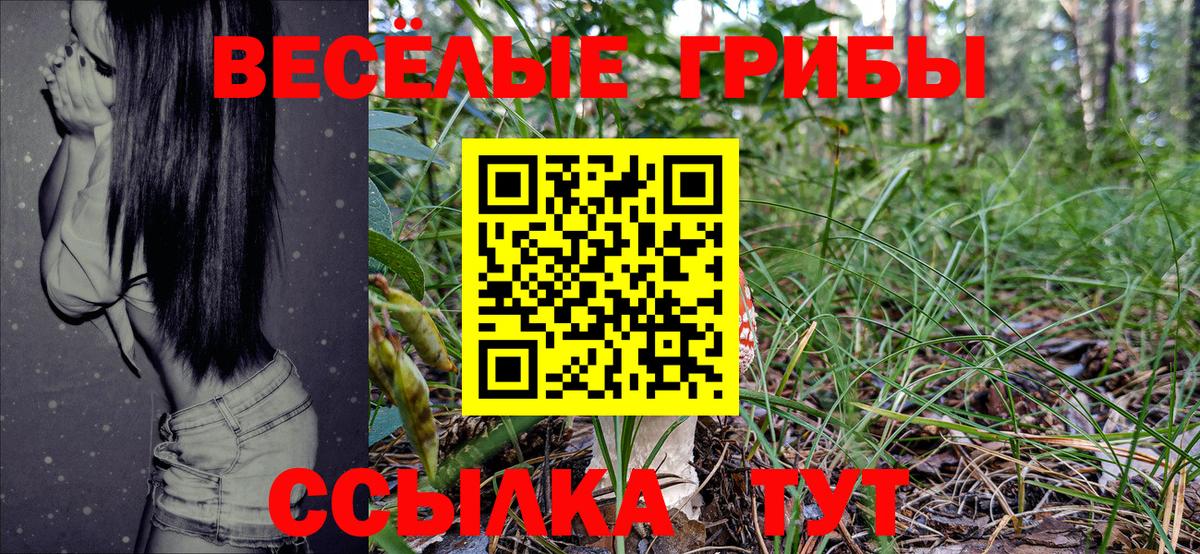 Галлюциногенные грибы Magic Shrooms  Галлюциногенные грибы Magic Shrooms  Вход с VPN  Лыткарино 